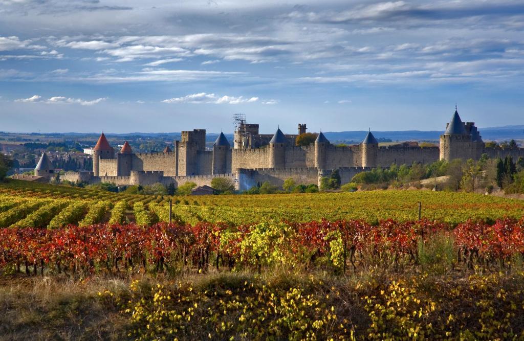 Bed & Breakfast Demeure Du Pareur Villeneuve-Minervois Dış mekan fotoğraf